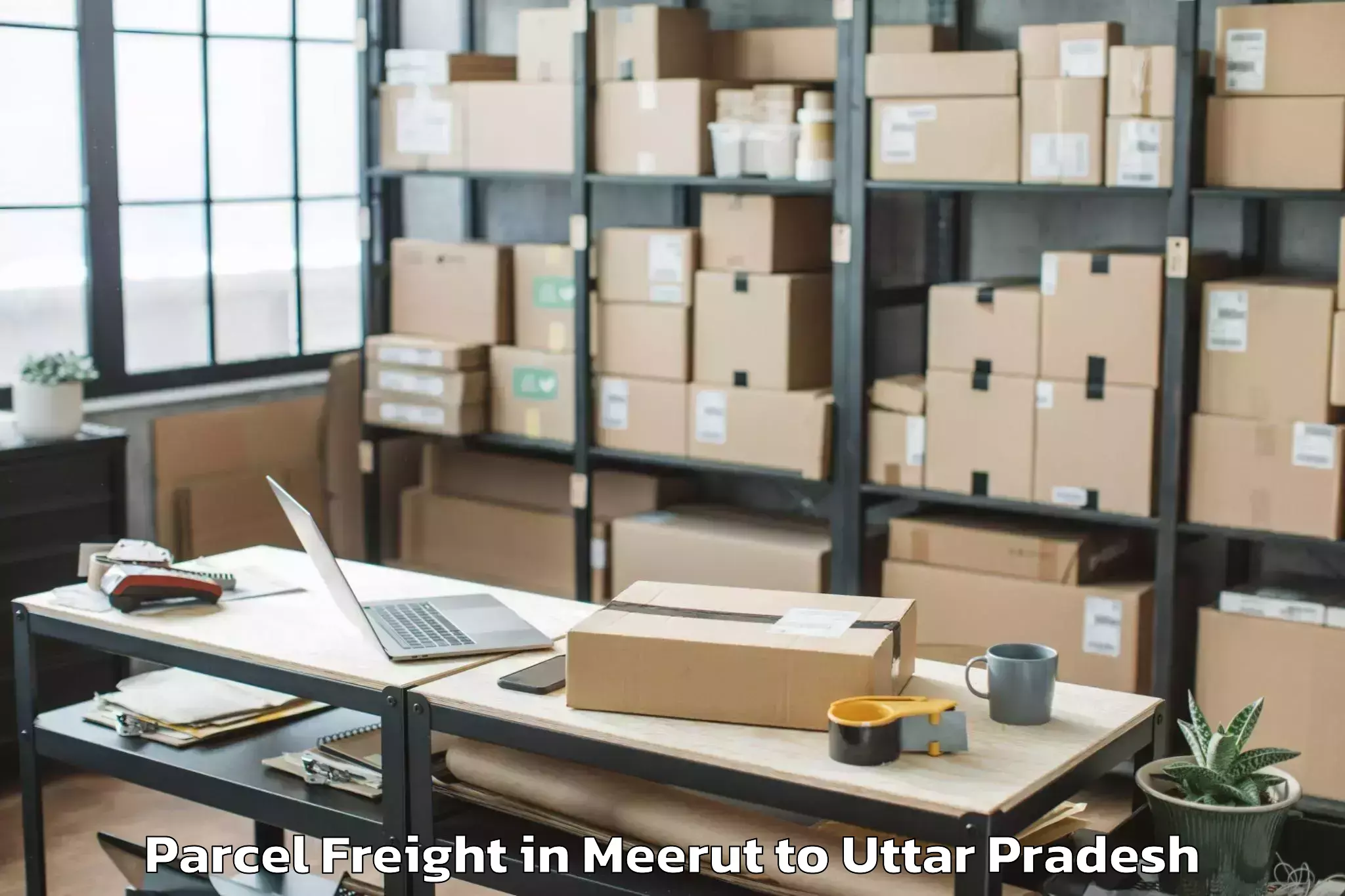 Book Meerut to Bilsi Parcel Freight